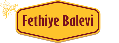Fethiye Balevi